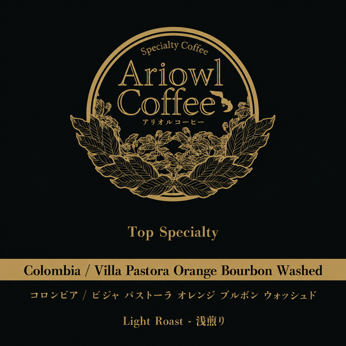 🇨🇴Colombia / Villa Pastora Orange Bourbon