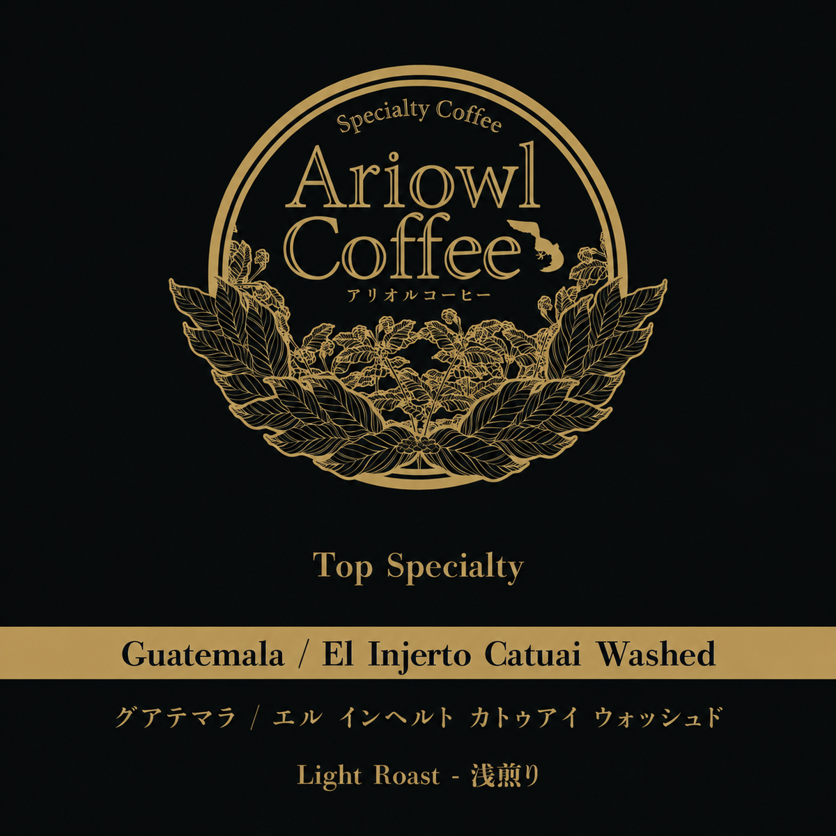 ๐ฌ๐นGuatemala / Finca El Injerto Catuai Washed