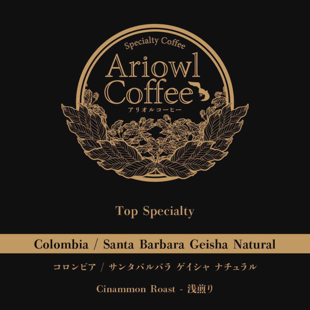 🇨🇴Colombia / Santa Barbara Geisha Natural 浅煎り