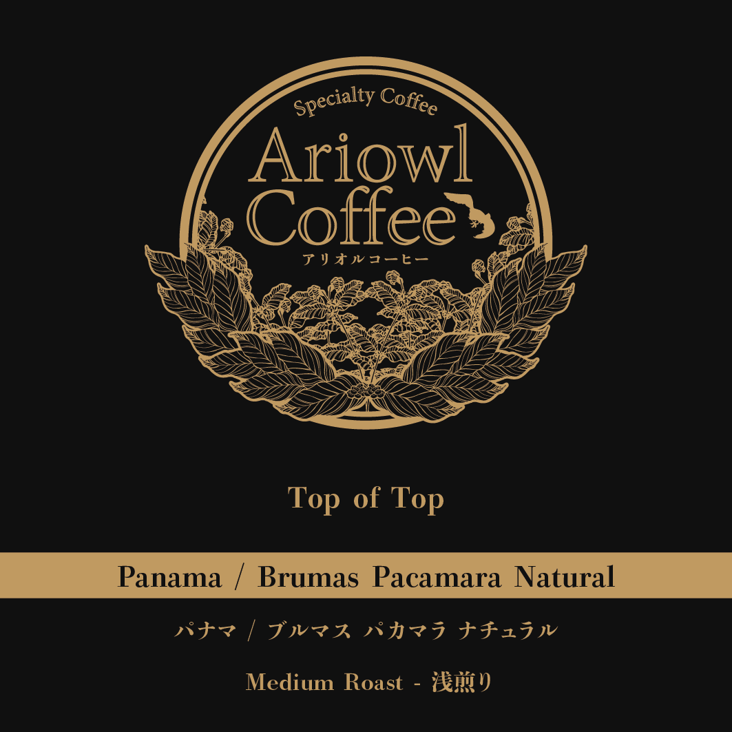 🇵🇦Panama / Las Brumas Pacamara Natural