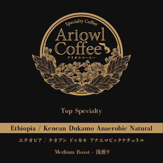 Ethiopia / Kenean Dukamo Anaerobic Natural