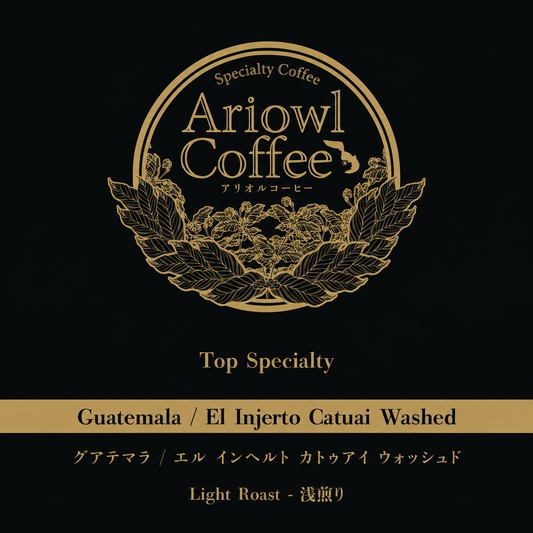 🇬🇹Guatemala / Finca El Injerto Catuai Washed