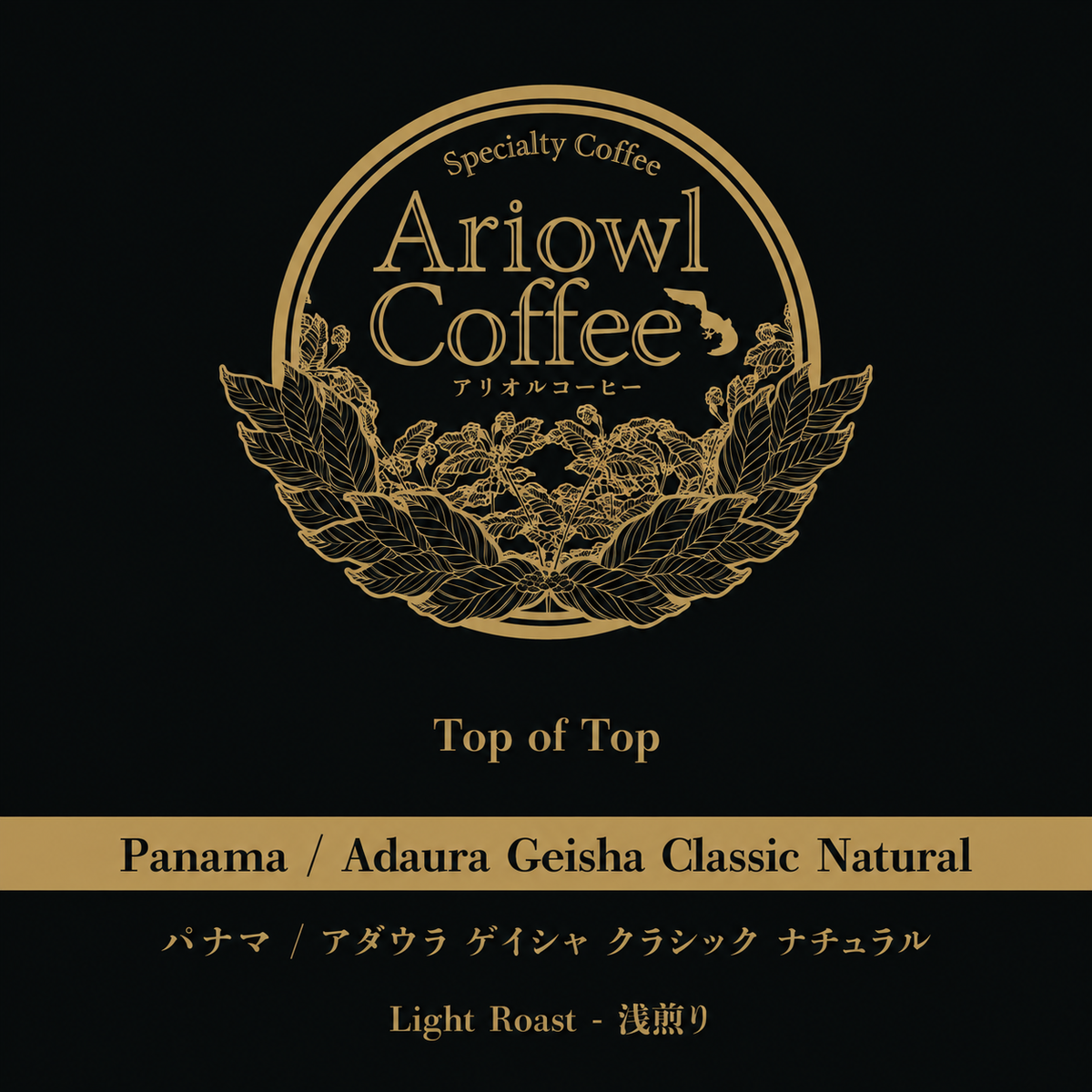 🇵🇦Panama / Adaura Geisha Classic Natural