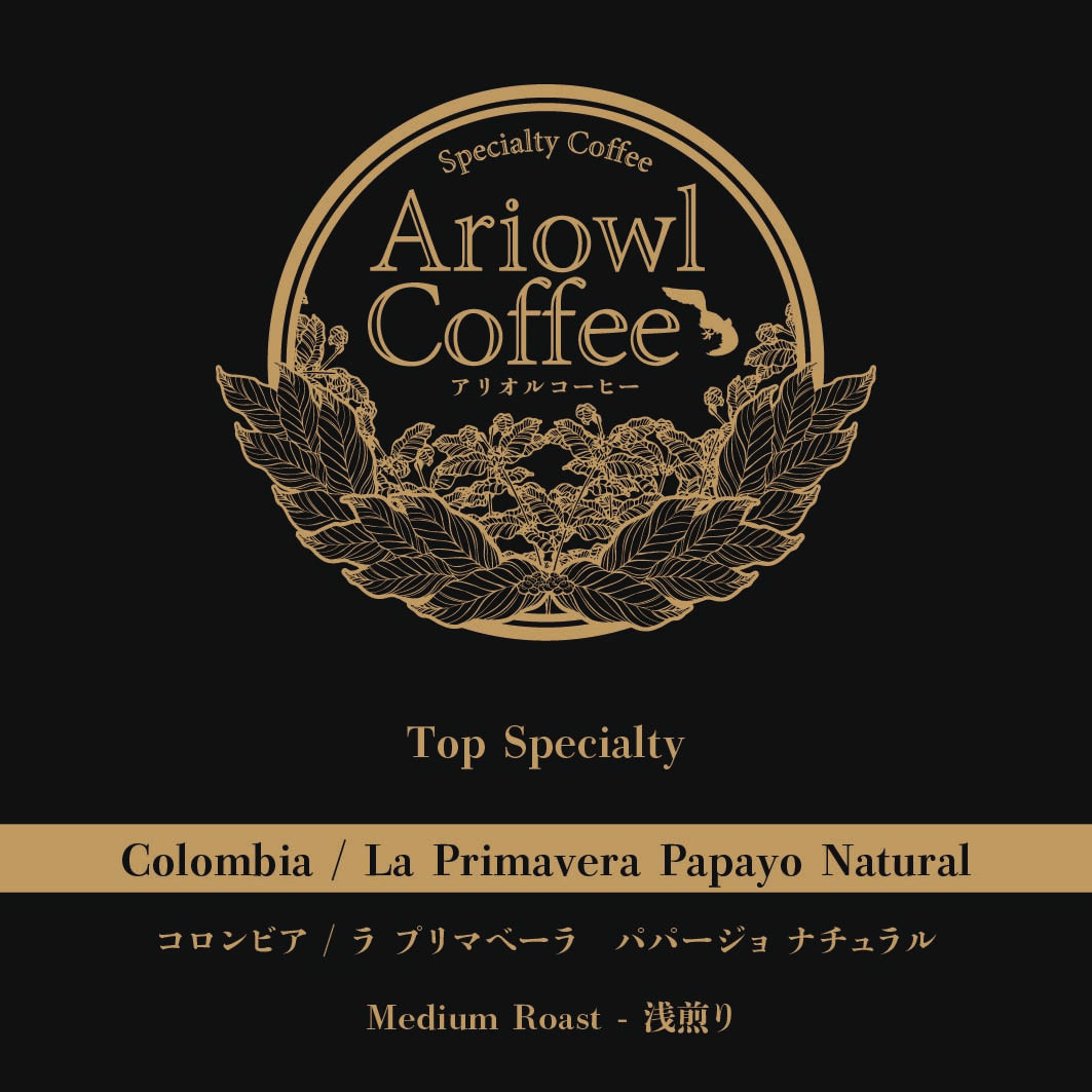 🇨🇴Colombia / La Primavera Papayo Natural 浅煎り