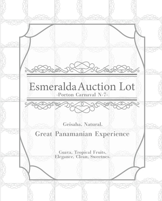 Panama / Esmeralda Auction Lot Porton Carnaval N-7 15g 浅煎り