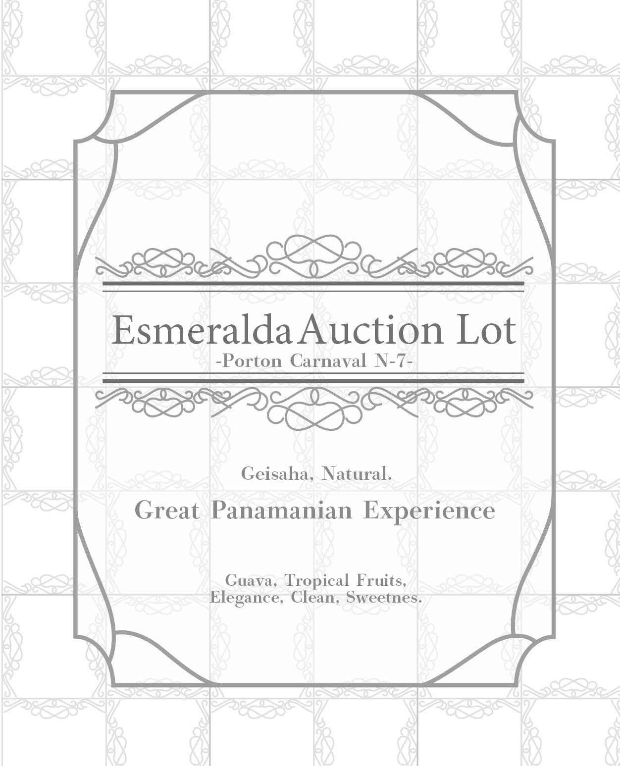 Panama / Esmeralda Auction Lot Porton Carnaval N-7 15g 浅煎り